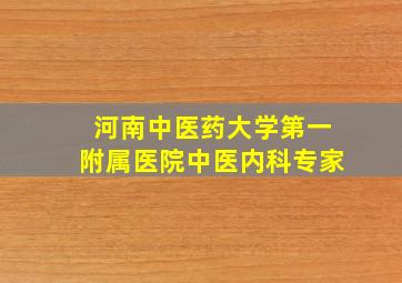 河南中医药大学第一附属医院中医内科专家