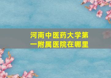 河南中医药大学第一附属医院在哪里