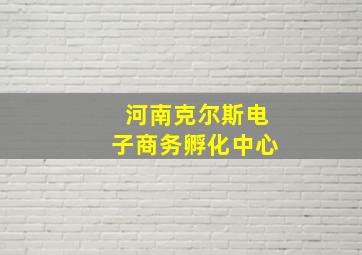 河南克尔斯电子商务孵化中心