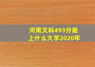 河南文科493分能上什么大学2020年