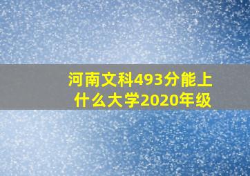 河南文科493分能上什么大学2020年级