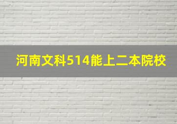 河南文科514能上二本院校