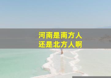 河南是南方人还是北方人啊