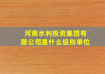 河南水利投资集团有限公司是什么级别单位