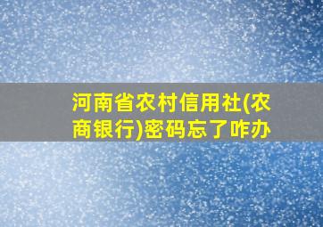 河南省农村信用社(农商银行)密码忘了咋办