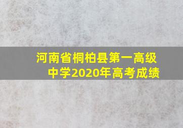 河南省桐柏县第一高级中学2020年高考成绩