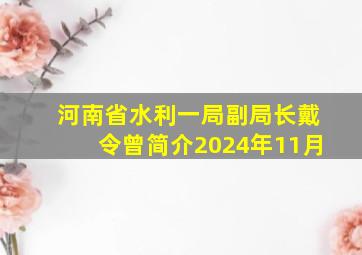 河南省水利一局副局长戴令曾简介2024年11月