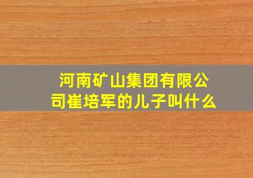 河南矿山集团有限公司崔培军的儿子叫什么