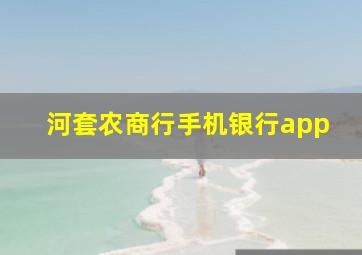 河套农商行手机银行app