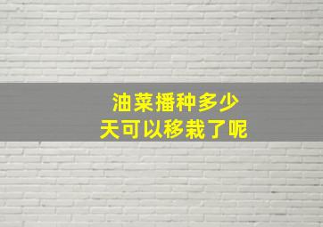 油菜播种多少天可以移栽了呢