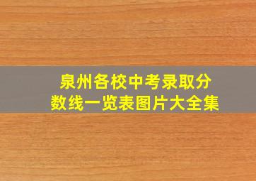 泉州各校中考录取分数线一览表图片大全集