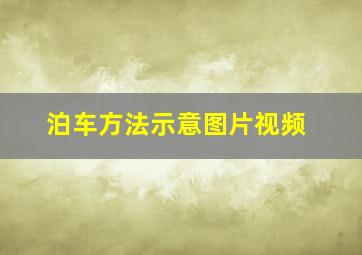 泊车方法示意图片视频