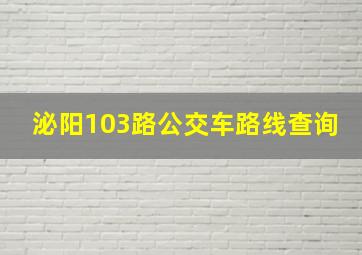 泌阳103路公交车路线查询