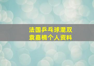 法国乒乓球混双袁嘉楠个人资料