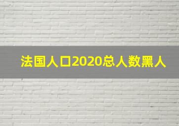 法国人口2020总人数黑人