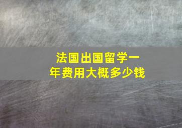 法国出国留学一年费用大概多少钱