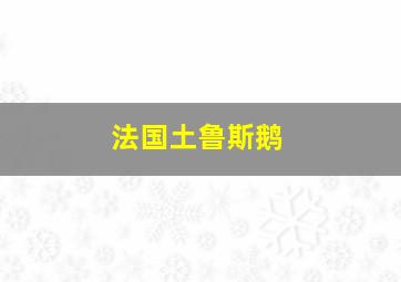 法国土鲁斯鹅