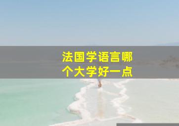 法国学语言哪个大学好一点