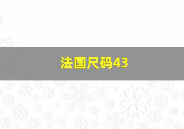 法国尺码43