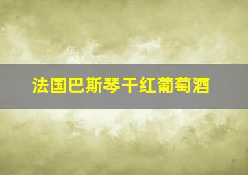 法国巴斯琴干红葡萄酒