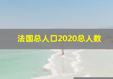 法国总人口2020总人数