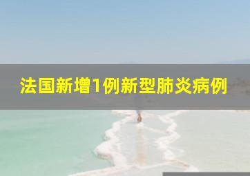 法国新增1例新型肺炎病例