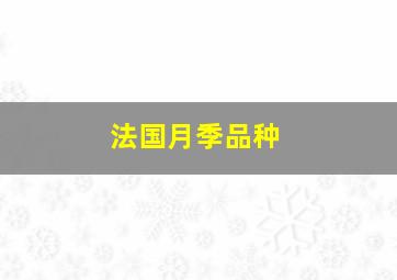 法国月季品种