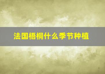 法国梧桐什么季节种植