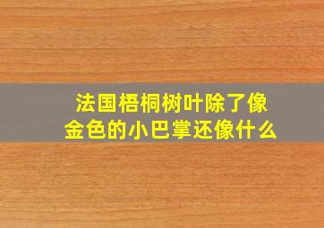 法国梧桐树叶除了像金色的小巴掌还像什么