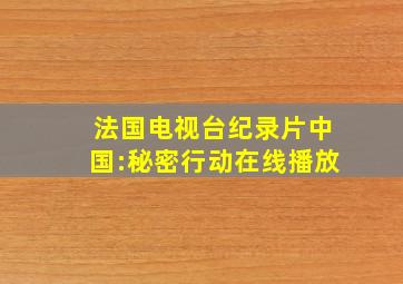 法国电视台纪录片中国:秘密行动在线播放