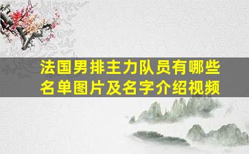 法国男排主力队员有哪些名单图片及名字介绍视频