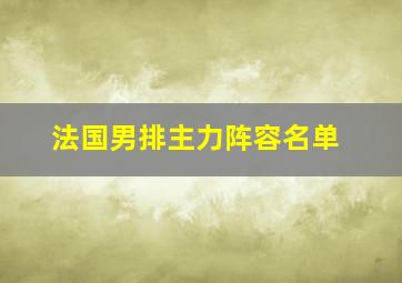 法国男排主力阵容名单