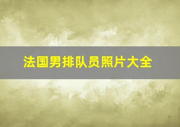 法国男排队员照片大全