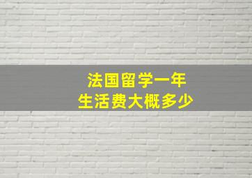 法国留学一年生活费大概多少