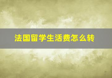 法国留学生活费怎么转