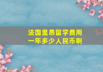 法国里昂留学费用一年多少人民币啊