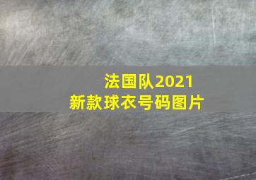 法国队2021新款球衣号码图片