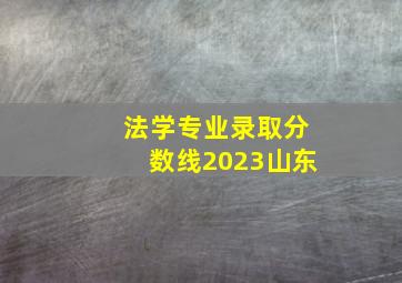 法学专业录取分数线2023山东