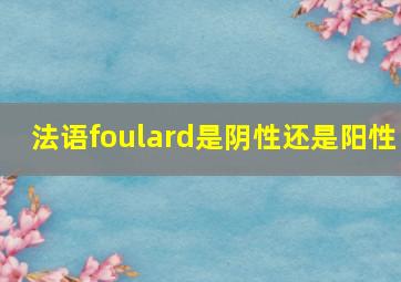 法语foulard是阴性还是阳性