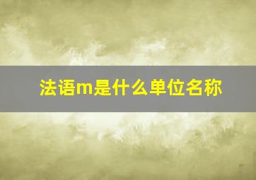 法语m是什么单位名称