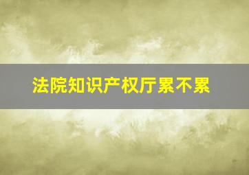 法院知识产权厅累不累