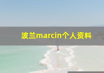 波兰marcin个人资料