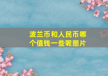 波兰币和人民币哪个值钱一些呢图片