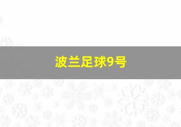 波兰足球9号