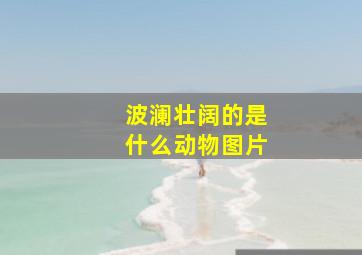 波澜壮阔的是什么动物图片