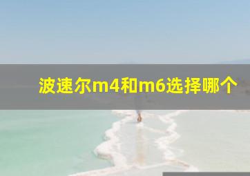 波速尔m4和m6选择哪个