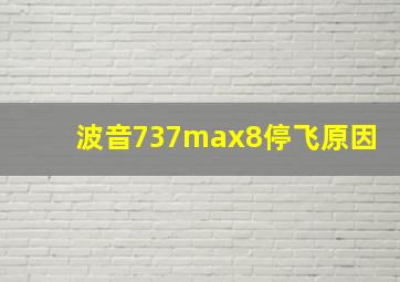 波音737max8停飞原因