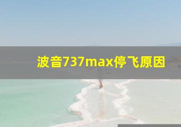 波音737max停飞原因