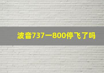 波音737一800停飞了吗