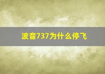 波音737为什么停飞